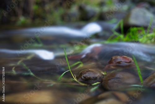 Quadro em tela Shallow mountain stream flow over stones with green grass in it, grass protrude