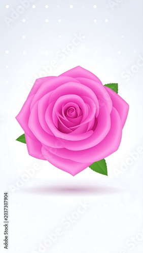 A pink rose with green leaves on a white background