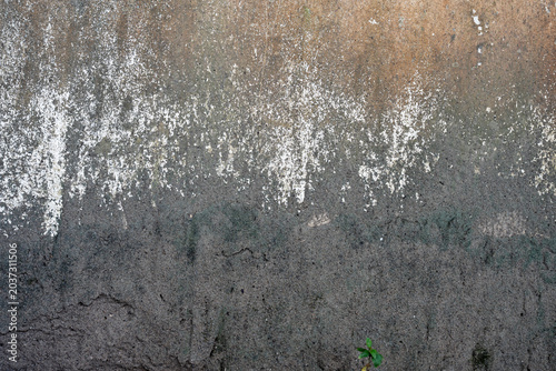 Canvas Print Abstract Weathered Concrete Wall - Gritty Texture, White Mineral Streaks, and Ag