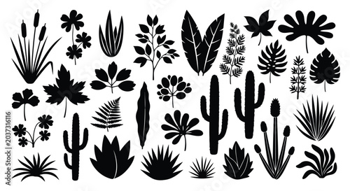 Black cactus and succulent silhouettes on white
