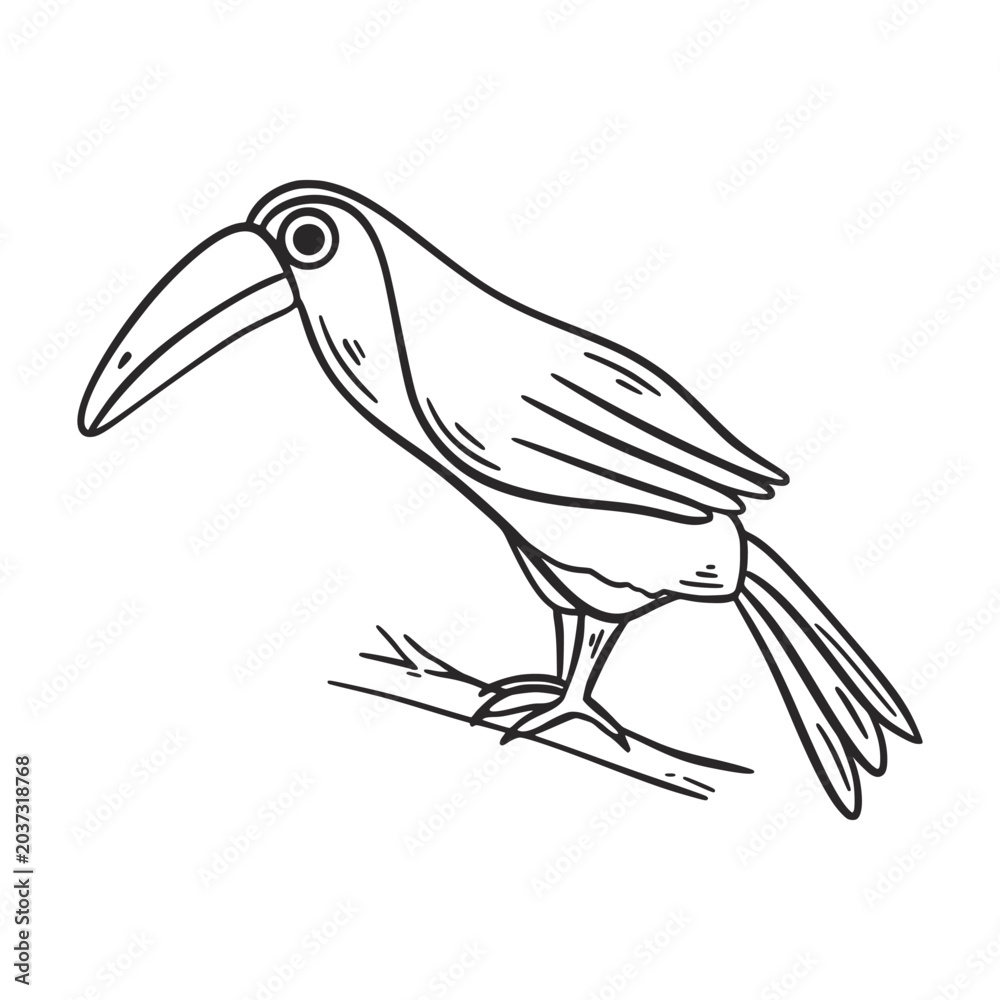 Fototapeta premium Black toucan, hand-drawn outline. Exotic tropical feathered bird clip art. Silhouette of bird with large beak on tree branch, wildlife. Vector graphics