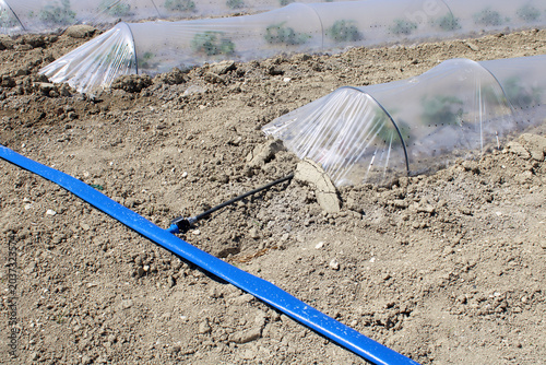 Fotografía Système d’irrigation agricole pour culture sous mini tunnel protégé par bâche PV