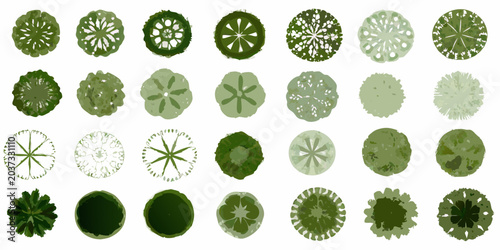 Tableau sur toile Collection Of Top Down Tree Canopy Views Vector Illustration