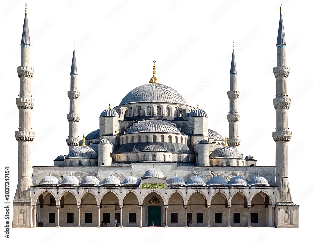 Fototapeta premium Sultan Ahmed Mosque in Istanbul Turkey.