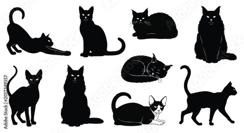 Collection of black cat silhouettes in various poses on white background