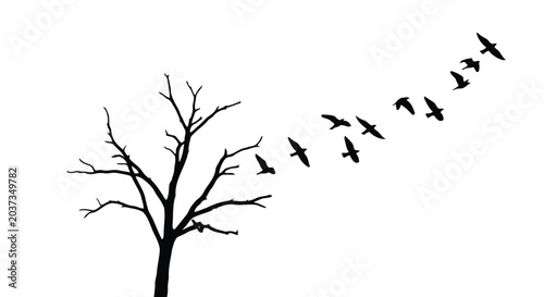 Nature scene with bare tree and birds flying away on white background