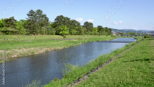 Fresh Greenery Along Kyoto Kamogawa River Under Blue Sky, Relaxing Early Summer Scenery in Japan