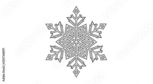 Fotografie Detailed illustration of a single snowflake.