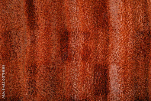 Photos Macro shot of rich brown wood grain texture