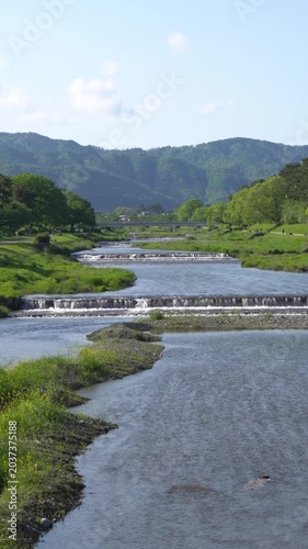 Fresh Greenery Along Kyoto Kamogawa River Under Blue Sky, Relaxing Early Summer Scenery in Japan
