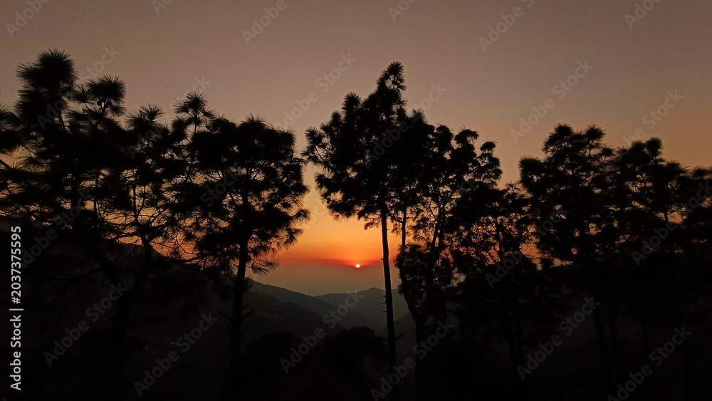 Αυτοκόλλητο warm yellow orange sunset in the mountains forming a silhouette of the trees and