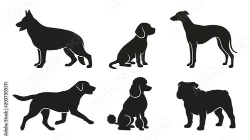 Tableau sur toile Iconic canine shapes a comprehensive vector silhouette compilation of popular do