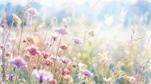 Dreamy Field of Wildflowers - A Pastel Haze of Natures Beauty.