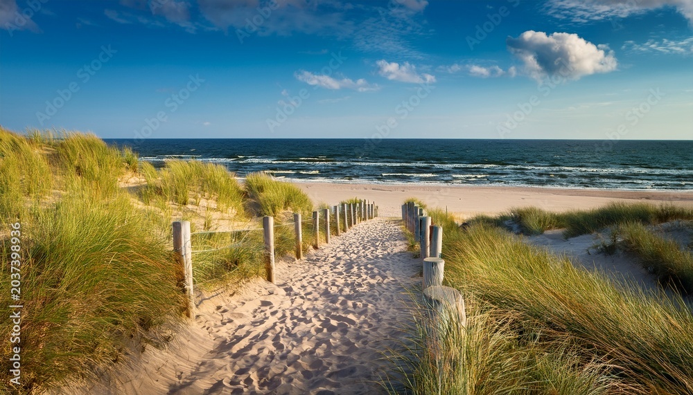 Fototapeta premium Path To The Beach And Ocean At The Baltic Sea