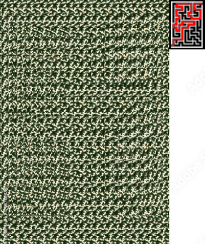 Canvas Print Optical illusion stereogram with hidden 3D shape of a medium-difficulty maze 2480x3586