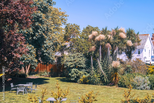 summer garden in countryside in Jersey Island, UK