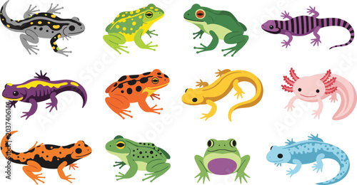 Foto Colorful amphibian and salamander collection isolated vector illustration for wi