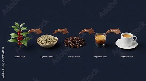 Coffee production workflow infographic showing the journey from raw plant to roasted beans and finally brewed espresso shot in a minimalist dark blue studio setting