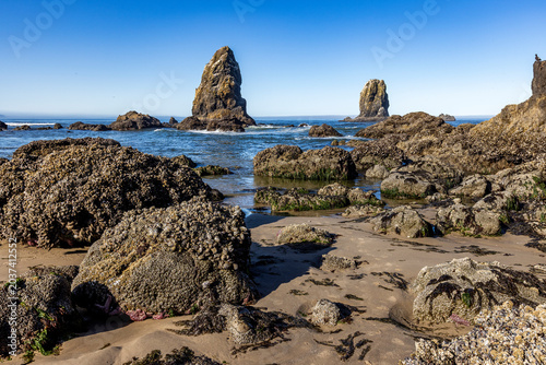Cannon Beach rock formations at low tide