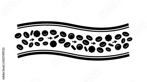 Quadro em tela Blood cells in vessel black silhouette on white background