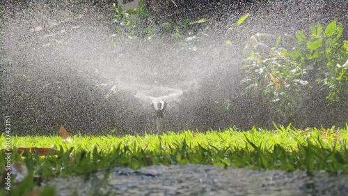 Lawn irrigation system in action sprinkles fresh water droplets over vibrant green grass. Steady water spray from lawn irrigation system provides thorough hydration for backyard yard maintenance.