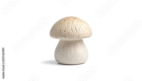 Isolated small white mushroom with brown speckles and gills, studio shot