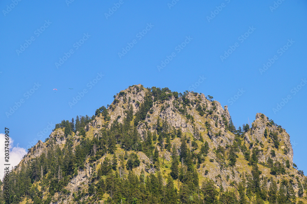 Fototapeta premium Paragliders soar over a rugged, tree-covered mountain peak under a clear blue sky