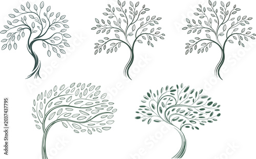 Set of Abstract Hand Drawn Tree Symbol Nature, Elegant Line Art Tree Vector