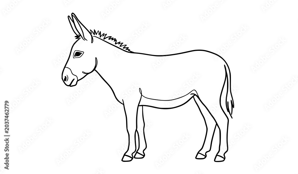 Fototapeta premium Hand Drawn Donkey Outline Vector Illustration Minimal Farm Animal Line Art