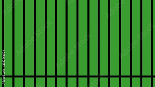 Prison bars