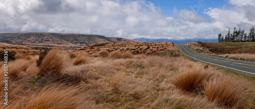 Φωτογραφία Red Tussock Conservaton Area between Te Anau and Mossburn, New Zealand