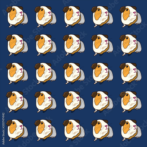 Schilderij op canvas Funny cavy pets on dark blue background pattern