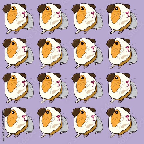 Foto Funny cavy pets on purple background pattern