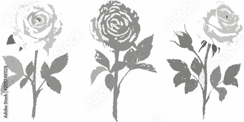 Gray Rose Silhouettes On White Background Floral Botanical Illustration
