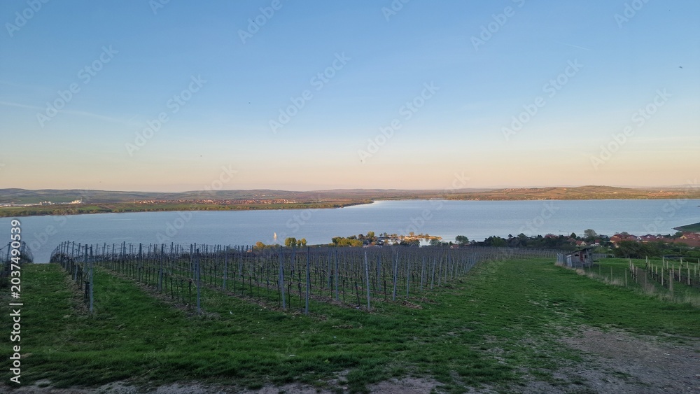 Obraz premium sunset in Palava, pavlov, devicky, divci hrady, nove mlyny reservoir