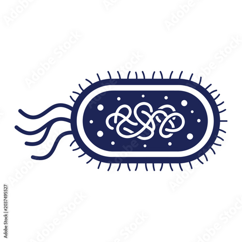 Illustration of a Bacteria Cell Structure.