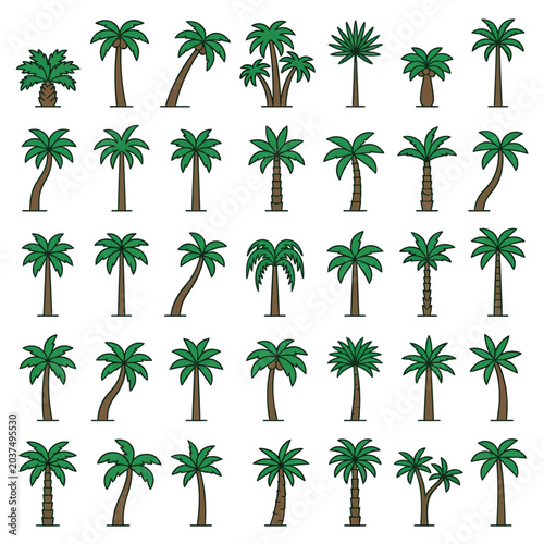 Collection of Various Palm Trees.