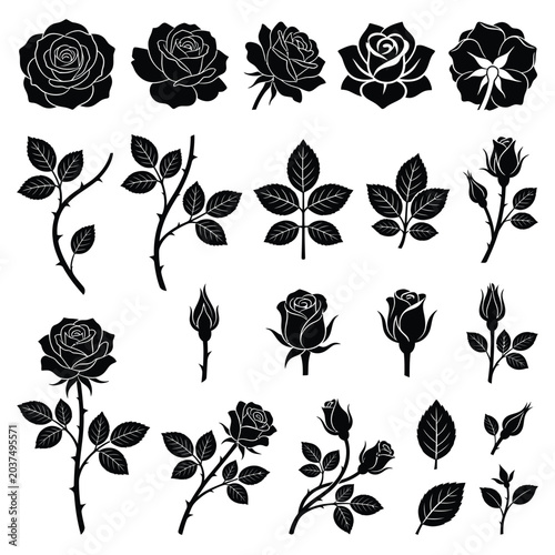 Black Silhouette Roses and Leaves Illustration.