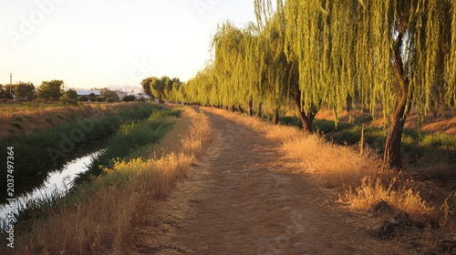 towpath. Ancient canal towpath lined with wildflowers and willows under golden hour light. travel magazines, destination branding, designed for outdoor magazines and nature guides.