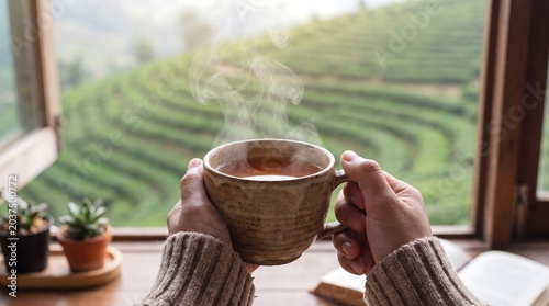 Person in a cozy sweater holding a steaming cup of hot tea overlooking a lush green tea plantation