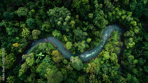 Aerial tropical rainforest canopy winding river lush green forest dense jungle overhead view nature landscape tropical woodland curved stream