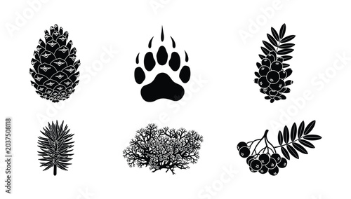 Tableau sur toile Detailed forest nature element collection with pine cone bear paw print berries