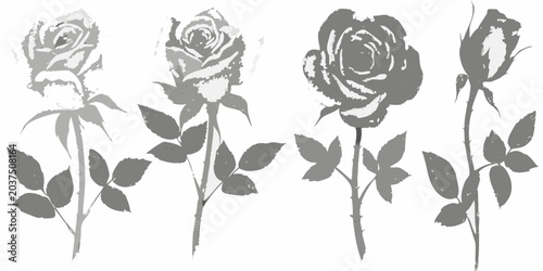 Foto Rose silhouettes with leaves grayscale vector illustration on white background