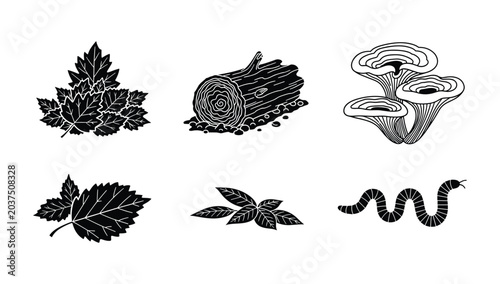 Tableau sur toile Detailed nature collection of foliage and forest life featuring tree logs leaves