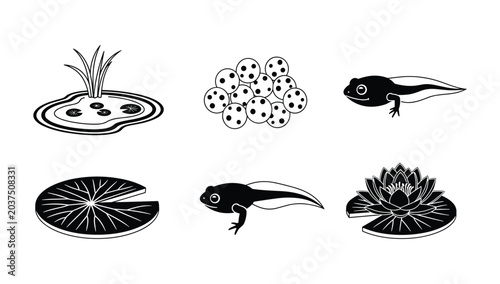 Konstfotografi Aquatic ecosystem life cycle illustration featuring tadpoles frog eggs lily pads