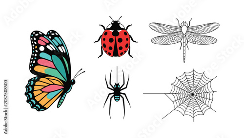 Foto Colorful insect and arachnid icon set including monarch butterfly ladybug dragon