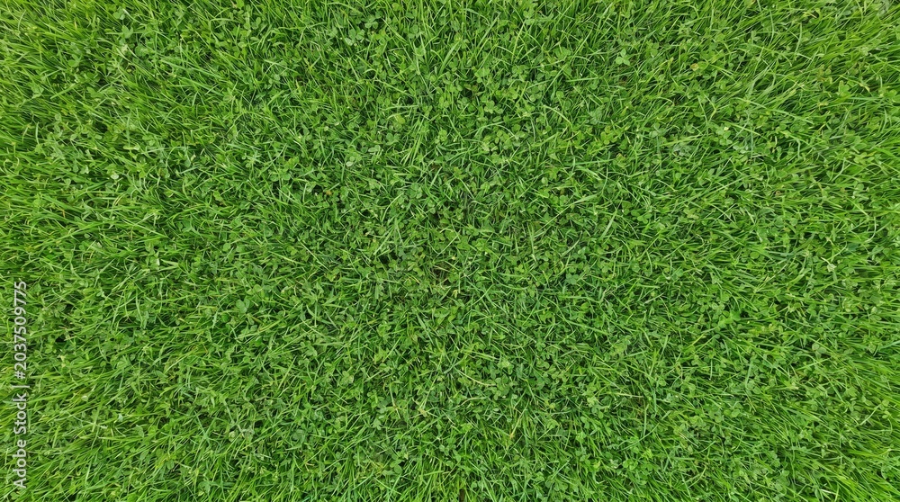 Obraz premium Vibrant green grass texture from an aerial perspective, showing a healthy and well-maintained lawn surface.