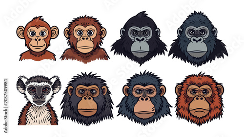 Canvas Print Primate Portraits: A collection of eight stylized illustrations featuring diverse primate faces, from playful monkeys to imposing gorillas and a curious lemur, each with unique expressions