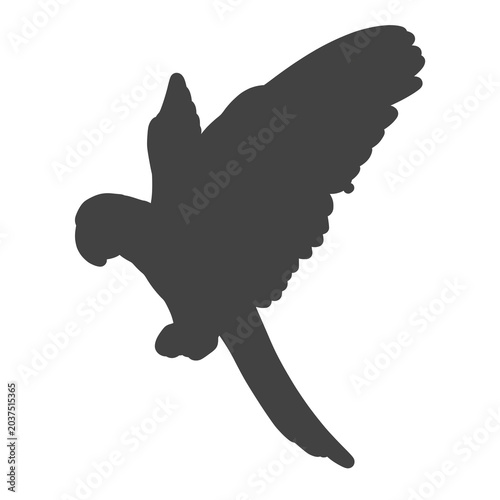 Bird PNG icon or symbol, beautiful bird silhouette with plain background of white. Bird symbol PNG