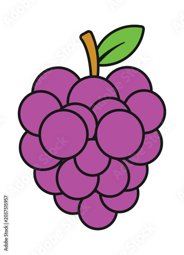 A vibrant illustration of a cluster of ripe purple grapes with a green leaf and brown stem.